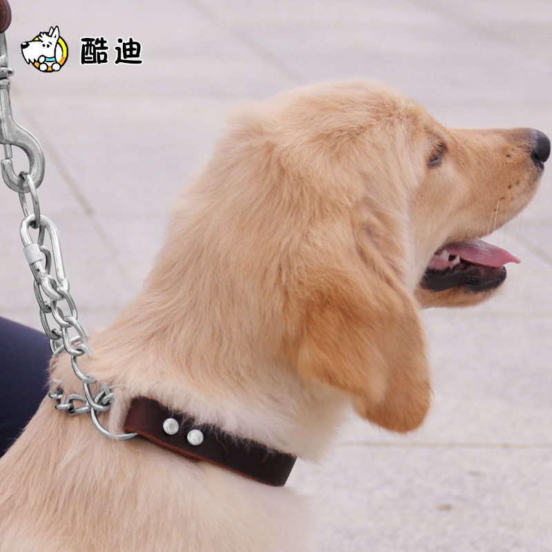 

Cowhide P-Chain Pet Collar Adjustable Collar