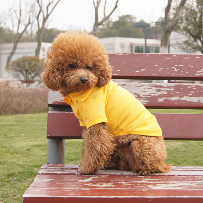 

Pet small fresh POLO shirt all-match classic (value)