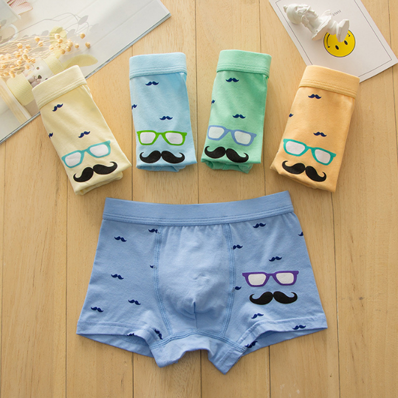

5-Pack Toddler Boy Print Knickers