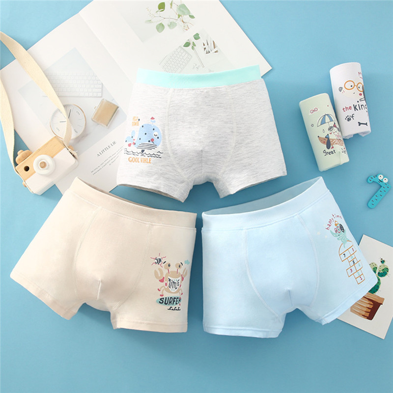 

5pcs Baby / Toddler Boy Animal Print Underwear