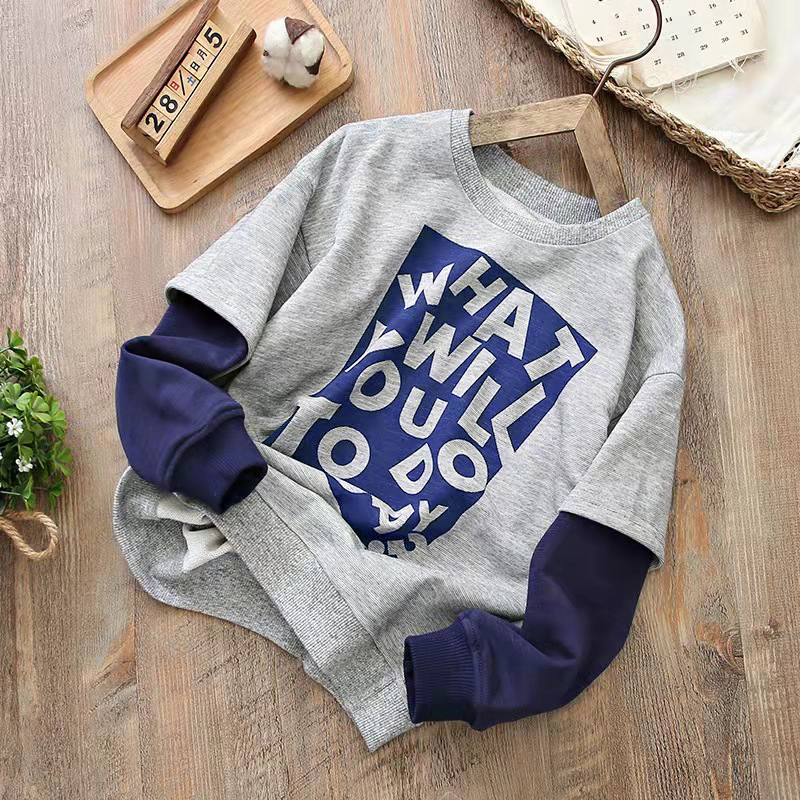 

Toddler Boy Letter Print Colorblock Faux-two Sweatshirt