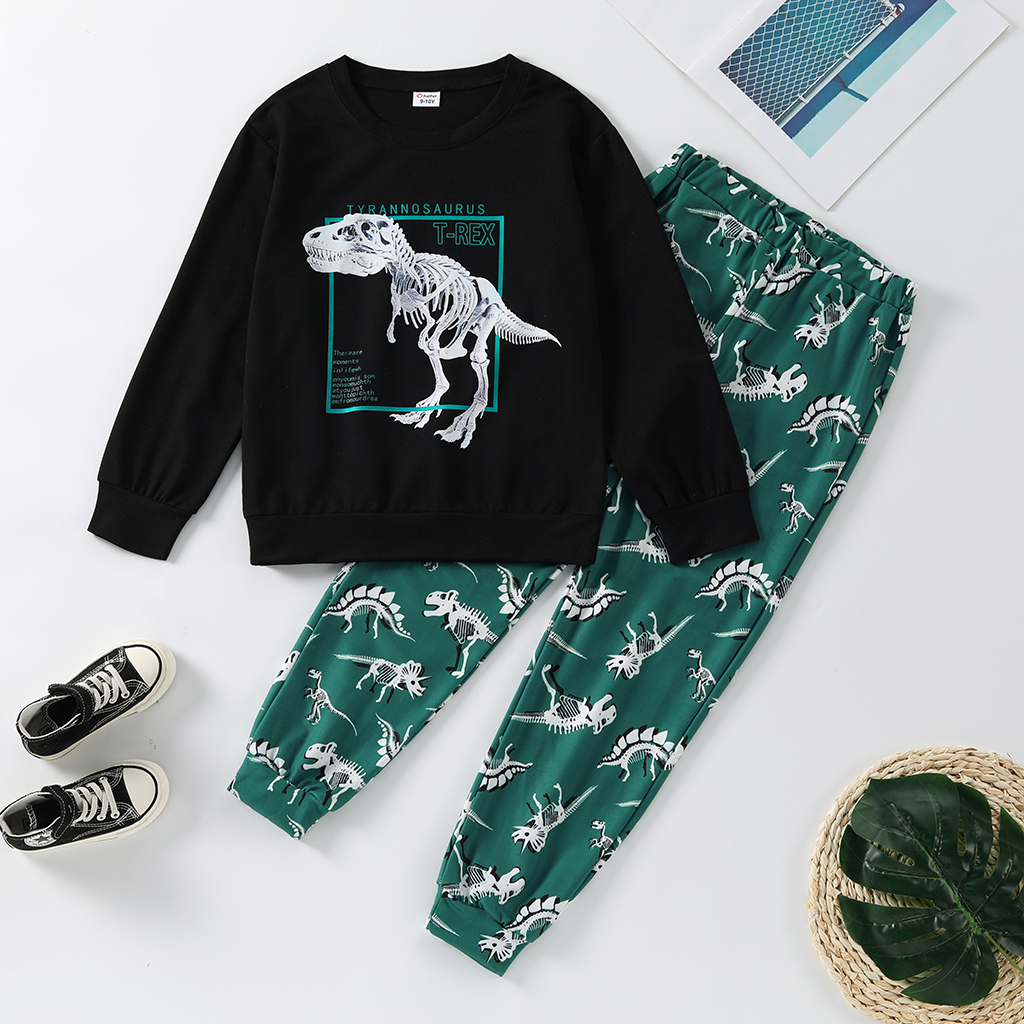 

2-piece Kid Boy Animal Dinosaur Print Sweatshirt and Pants Set